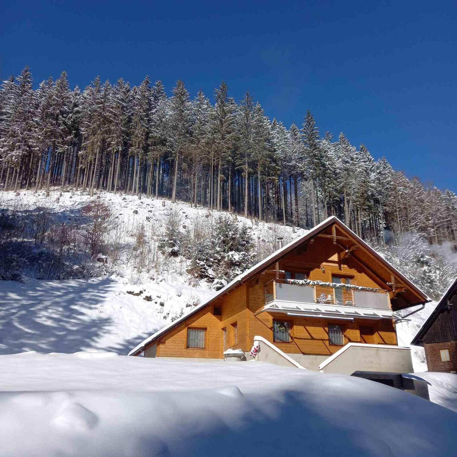 Hisa Lunna - Apartments In A Forest Paradise Vitanje Zewnętrze zdjęcie