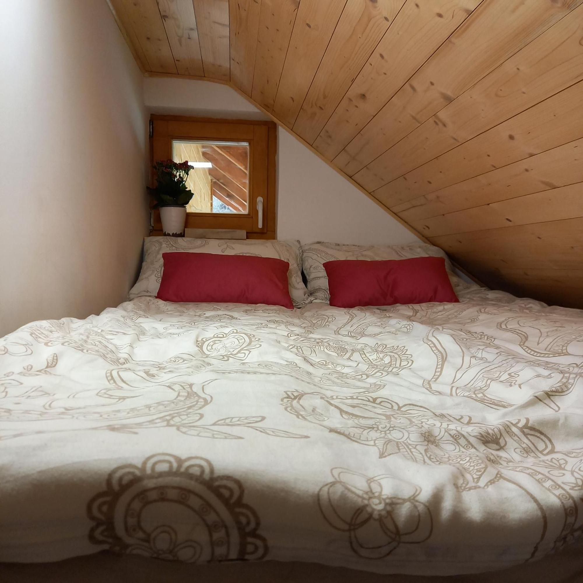 Hisa Lunna - Apartments In A Forest Paradise Vitanje Zewnętrze zdjęcie